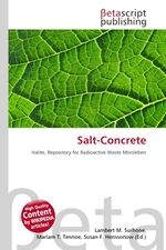 Salt-Concrete