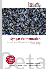 Syngas Fermentation