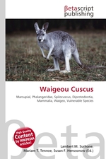 Waigeou Cuscus