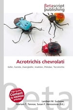 Acrotrichis chevrolati