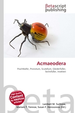 Acmaeodera