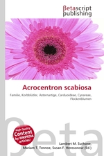 Acrocentron scabiosa