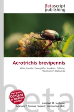 Acrotrichis brevipennis