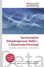 Saccharopine Dehydrogenase (NAD+, L-Glutamate-Forming)