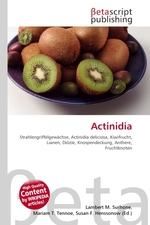 Actinidia