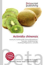 Actinidia chinensis