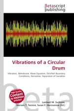 Vibrations of a Circular Drum