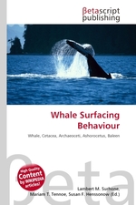 Whale Surfacing Behaviour