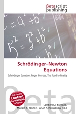 Schroedinger–Newton Equations