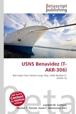 USNS Benavidez (T-AKR-306)