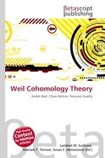 Weil Cohomology Theory