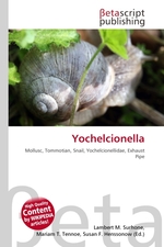 Yochelcionella