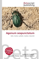 Agonum sexpunctatum