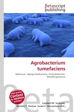 Agrobacterium tumefaciens