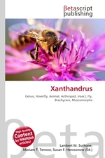 Xanthandrus