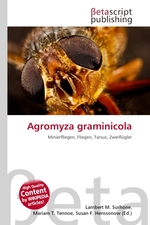 Agromyza graminicola