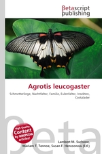 Agrotis leucogaster