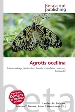 Agrotis ocellina