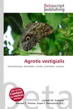 Agrotis vestigialis