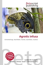 Agrotis infusa