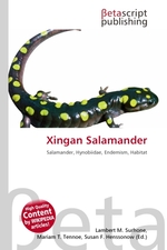 Xingan Salamander