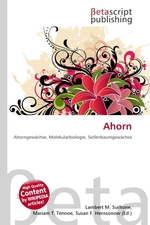 Ahorn