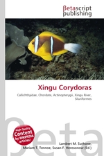 Xingu Corydoras