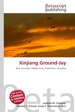 Xinjiang Ground-Jay