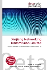 Xinjiang Networking Transmission Limited