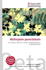 Aichryson punctatum