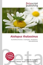 Aiolopus thalassinus