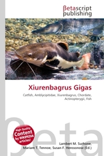 Xiurenbagrus Gigas