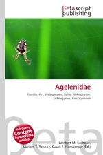 Agelenidae