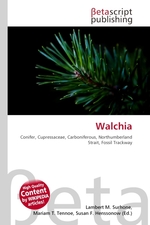 Walchia