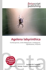 Agelena labyrinthica