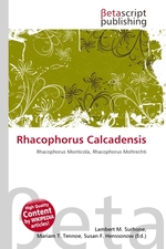 Rhacophorus Calcadensis