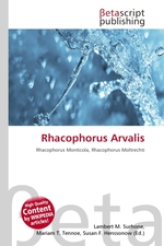 Rhacophorus Arvalis