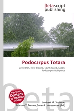Podocarpus Totara