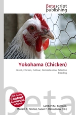 Yokohama (Chicken)