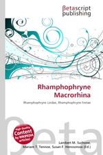Rhamphophryne Macrorhina
