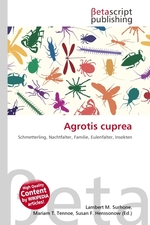 Agrotis cuprea