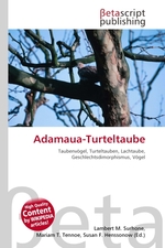 Adamaua-Turteltaube