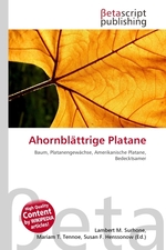 Ahornblaettrige Platane