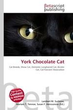 York Chocolate Cat