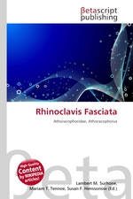 Rhinoclavis Fasciata