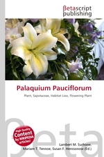 Palaquium Pauciflorum
