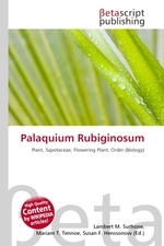 Palaquium Rubiginosum