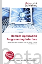 Remote Application Programming Interface