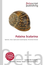 Palaina Scalarina