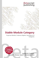 Stable Module Category